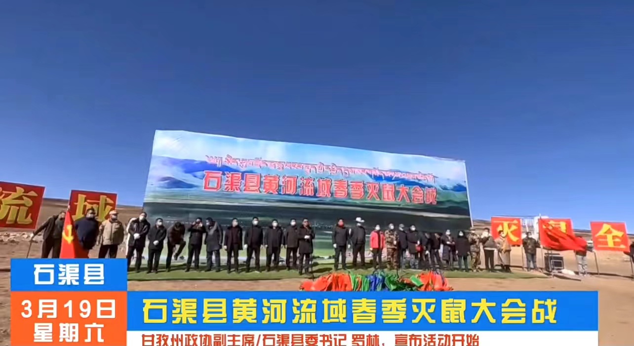 视频|石渠县黄河流域春季灭鼠大会战