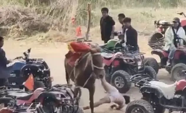 “一男孩骑马被拖行身亡”，当地通报